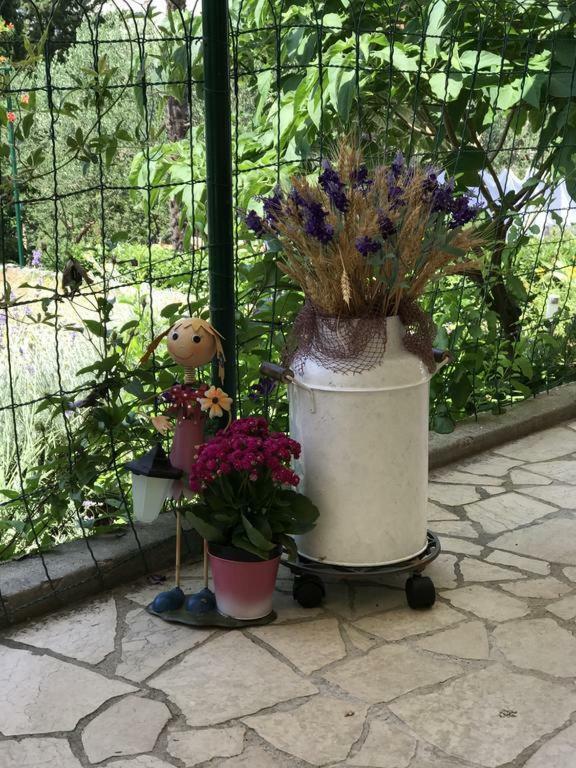 מלון קריקווניצה Depadansa Lisette מראה חיצוני תמונה